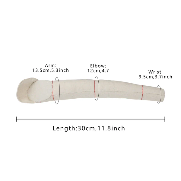 1:2 Half-Scale Female Torso Dress Form – Size 6/12 Mini Mannequin for Sewing & Pattern Making